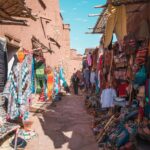 desert night under stars